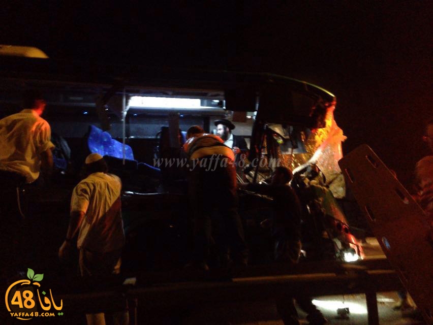 Accjs latroona (14).jpg